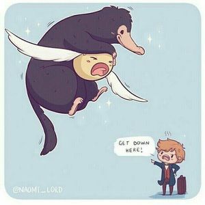 Meet your Posher, Frederique